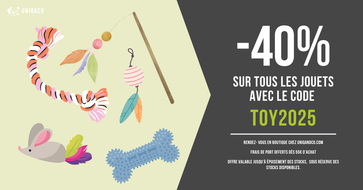 Promotion sur tous les jouets : -40% avec les code TOY2025